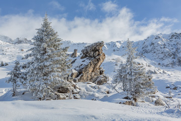 Fototapeta na wymiar Verschneite Winterlandschaft - Parpaner Rothorn, Graubünden, Schweiz