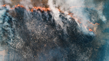 Strong fire in an empty field. Fire spreads in a united front, strong smoke from the burning place.