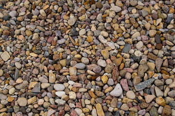 Colored pebbles. Colorful little stones. Natural background.