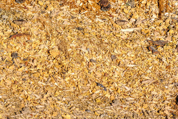 Abstract texture of small wooden grain chips with pieces of dry brown bark waste left after cutting  of dry old tree.