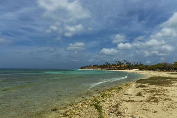 Fototapeta premium Turquoise sea water and blue sky. Eagle Beach of Aruba Island. Beautiful nature background.