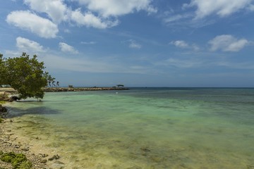 Obraz premium Turquoise sea water and blue sky. Eagle Beach of Aruba Island. Beautiful nature background.