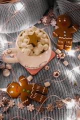 Christmas holidays wood background with Cup of Cocoa with marshmallow, luminous garland and cookie. toning. selective focus