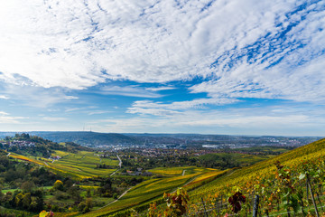 Germany, Stuttgart city tv tower and skyline behind colorful vineyard in autumn season