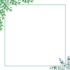 Border frame in a minimalist style. With coniferous juniper branches in the corners. Elements on a white background.