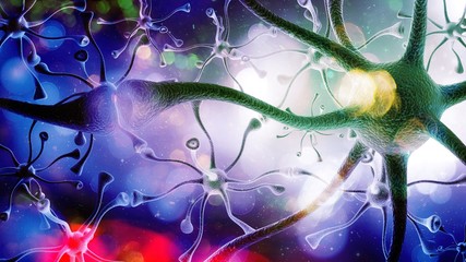 Brain.
