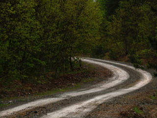 road in the forest