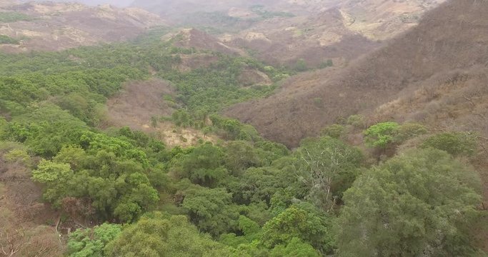 aerial forest mountains and trees