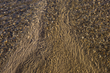 the structure of water in shades of sunlight, the manifestation of texture in the form of abstraction