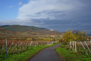 Fototapeta na wymiar Wanderung in den Weinbergen der Südlichen Weinstrasse mit Aussicht auf das Hambacher Schloss