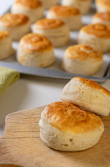 Bisquets2