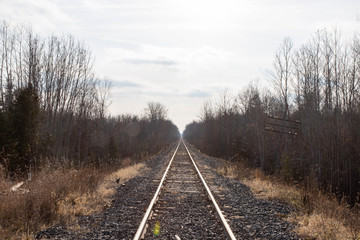 Fototapeta premium railway in the forest
