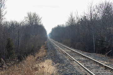 Fototapeta premium railroad tracks