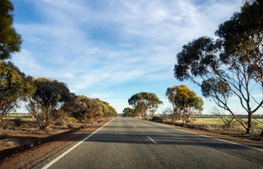 The straight asphalt road in Western Australia during the sunset with long shadows and slight motion blur effect showing the speed of car