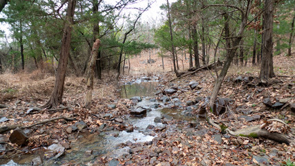 Rocky stream bed in an autumn forest