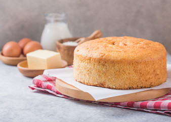 Homemade  Soft and lite delicious sponge cake with ingredients: eggs flour milk on stone concrete table. Bakery background concept.