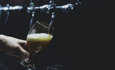 bartender hand at beer tap pouring a draught beer in glass serving in a restaurant or pub
