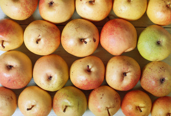 Pears on a white table. Botanical background