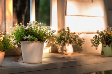 Fototapeta na wymiar Decorative flowers in white ceramic flowerpot.