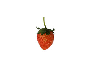 strawberry isolated on white background