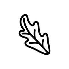 leaf foliage nature icon on white background thick line