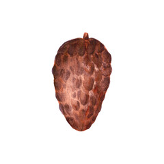 Cute cartoon watercolor brown simple single bump. Hand drawn isolated on a white background.