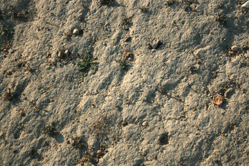 COUNTRY GROUND TEXTURE