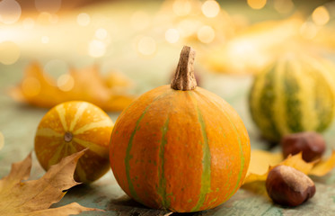 Pumpkins in autumn