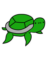 kleine nette schildkröte 