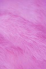 Fototapeta premium Beautiful abstract background.The pink fur.The texture of the fur.