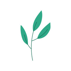 branch foliage leaves organic decoration icon