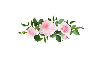 Pink rose flowers in a line arrangement