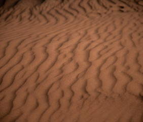 Sand Waves - Morocco