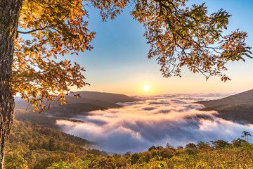 Fototapeta premium Shenandoah Sunrise over Fog
