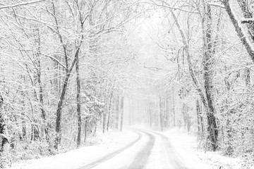 snowy road in winter forest