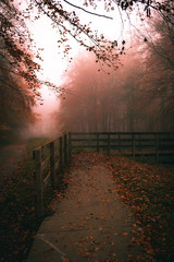 Wooden bridge in foggy forest with autumn colors