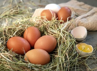 Fresh chicken eggs in a nest of dry grass. One egg is broken.