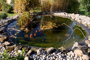 Ein Teich im Garten mit Kois -  a pond in the garden with koi