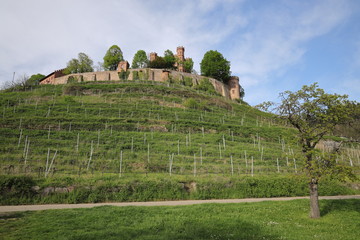 Schloss Ortenberg