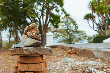 stone, tree on the beach