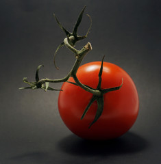 tomato with green branch on black background