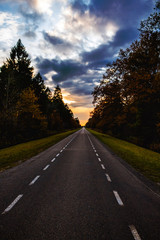 Asphalt road between the forest, sunset