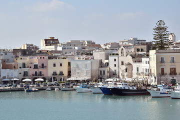 Fototapeta na wymiar port of Trani, Apulia