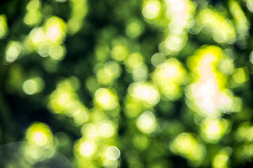 Obraz premium colorful backgrounds