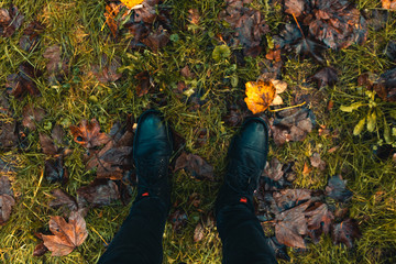 Shoes in a autumn forest
