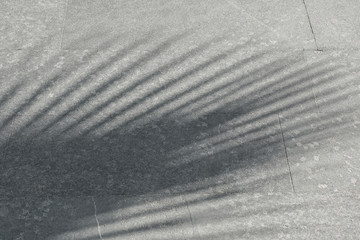 Shadow from a palm leaf on gray paving stones. Vacation trend minimalistic background. Close-up