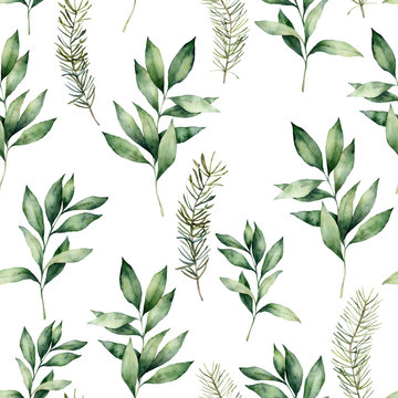 Watercolor seamless pattern with eucalyptus and fir branches. Hand painted winter holiday plants isolated on white background. Floral illustration for design, print, fabric or background.