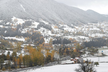 Fototapeta premium First snow in the forest in the mountains