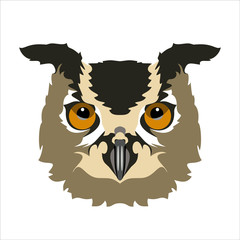 owl