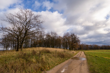 Krajobraz wiejski, Jesień na Podlasiu, Dolina Narwi, Polska © podlaski49